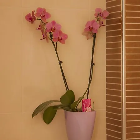 Green Park Apartment