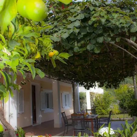 Green Park Apartment *