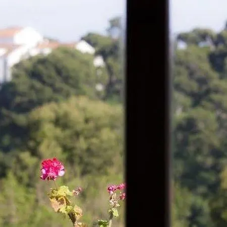 Green Park Apartment Dubrovnik